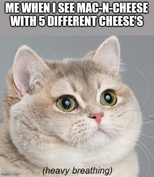 Heavy Breathing Cat | ME WHEN I SEE MAC-N-CHEESE WITH 5 DIFFERENT CHEESE'S | image tagged in memes,heavy breathing cat | made w/ Imgflip meme maker