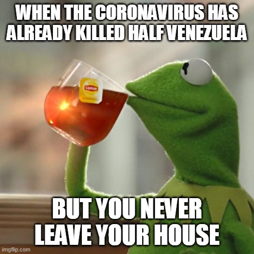 But That's None Of My Business | WHEN THE CORONAVIRUS HAS ALREADY KILLED HALF VENEZUELA; BUT YOU NEVER LEAVE YOUR HOUSE | image tagged in memes,but thats none of my business,kermit the frog | made w/ Imgflip meme maker