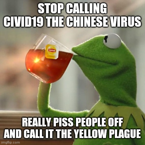 But That's None Of My Business | STOP CALLING CIVID19 THE CHINESE VIRUS; REALLY PISS PEOPLE OFF AND CALL IT THE YELLOW PLAGUE | image tagged in memes,but thats none of my business,kermit the frog | made w/ Imgflip meme maker