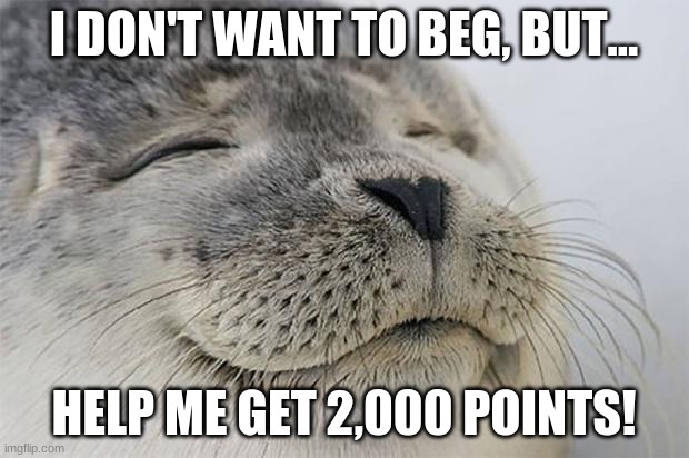 Satisfied Seal | I DON'T WANT TO BEG, BUT... HELP ME GET 2,000 POINTS! | image tagged in memes,satisfied seal | made w/ Imgflip meme maker