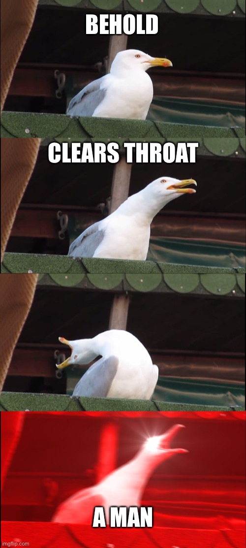 Inhaling Seagull Meme | BEHOLD CLEARS THROAT A MAN | image tagged in memes,inhaling seagull | made w/ Imgflip meme maker