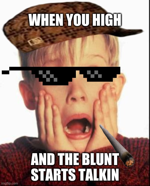 Home Alone Kid  | WHEN YOU HIGH; AND THE BLUNT STARTS TALKIN | image tagged in home alone kid | made w/ Imgflip meme maker
