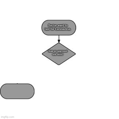 flow chart | Doctor want to test for Coronavirus. Does an approved test exist? | image tagged in flow chart | made w/ Imgflip meme maker