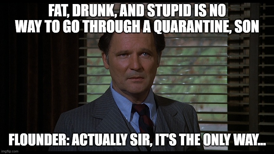 FAT, DRUNK, AND STUPID IS NO WAY TO GO THROUGH A QUARANTINE, SON; FLOUNDER: ACTUALLY SIR, IT'S THE ONLY WAY... | image tagged in quarantine,covid-19,coronavirus | made w/ Imgflip meme maker