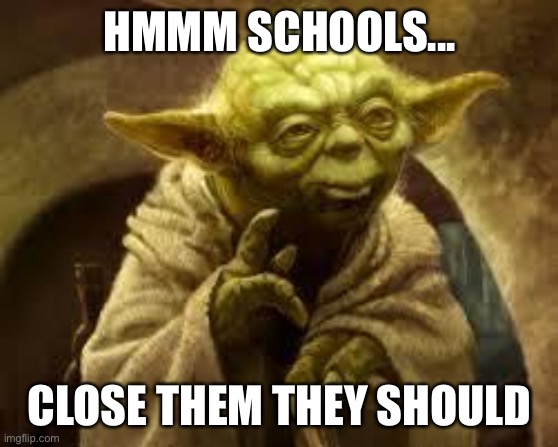 yoda | HMMM SCHOOLS... CLOSE THEM THEY SHOULD | image tagged in yoda | made w/ Imgflip meme maker