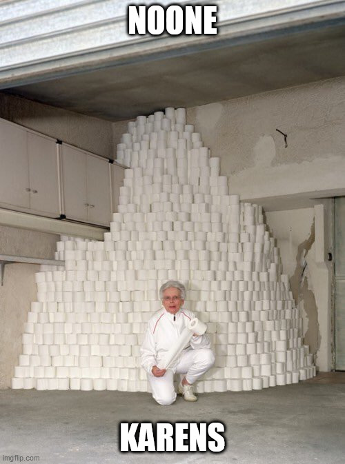 mountain of toilet paper | NOONE; KARENS | image tagged in mountain of toilet paper | made w/ Imgflip meme maker