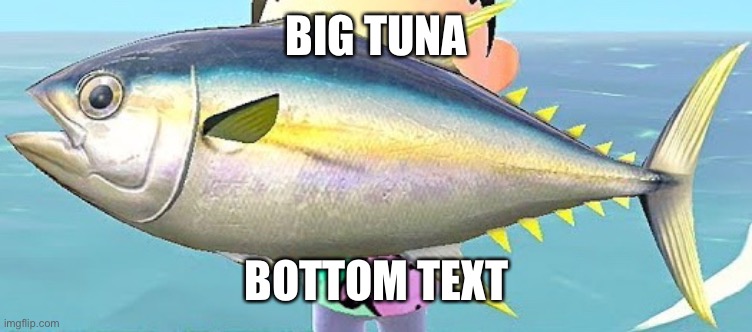 BIG TUNA; BOTTOM TEXT | made w/ Imgflip meme maker