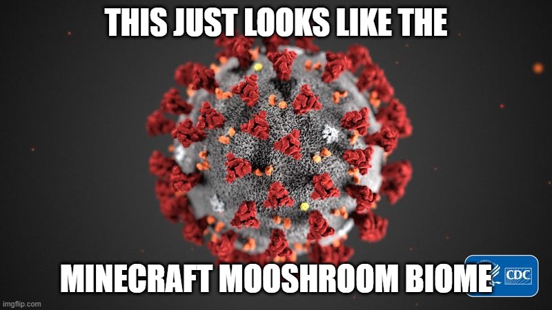 Covid 19 | THIS JUST LOOKS LIKE THE; MINECRAFT MOOSHROOM BIOME | image tagged in covid 19 | made w/ Imgflip meme maker