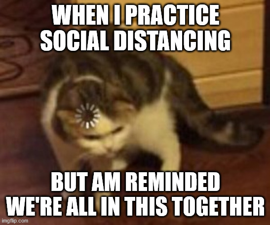 Am I right? Or am I just an oxymoron? | WHEN I PRACTICE SOCIAL DISTANCING; BUT AM REMINDED WE'RE ALL IN THIS TOGETHER | image tagged in loading cat | made w/ Imgflip meme maker