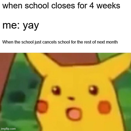 Surprised Pikachu | when school closes for 4 weeks; me: yay; When the school just cancels school for the rest of next month | image tagged in memes,surprised pikachu | made w/ Imgflip meme maker