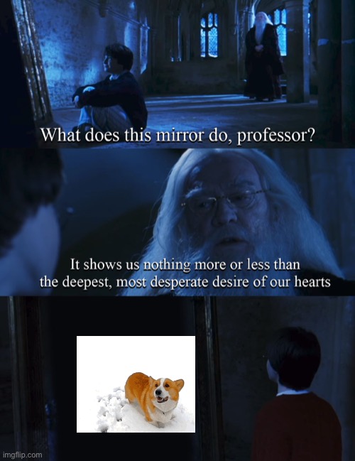 Harry potter mirror | image tagged in harry potter mirror | made w/ Imgflip meme maker