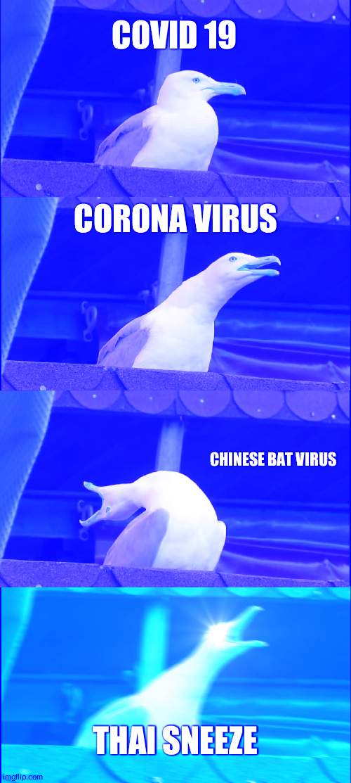 Inhaling Seagull | COVID 19; CORONA VIRUS; CHINESE BAT VIRUS; THAI SNEEZE | image tagged in memes,inhaling seagull | made w/ Imgflip meme maker