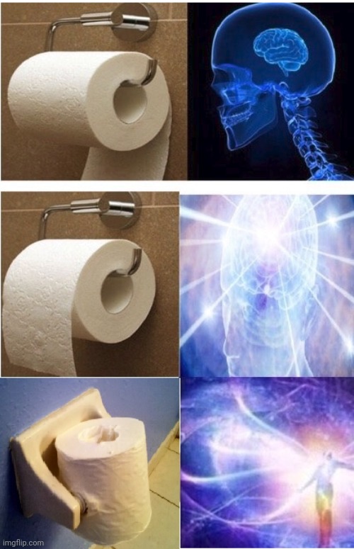 Exploding Toilet Paper IQ | image tagged in toilet paper,memes,funny memes,expanding brain,brain,funny | made w/ Imgflip meme maker