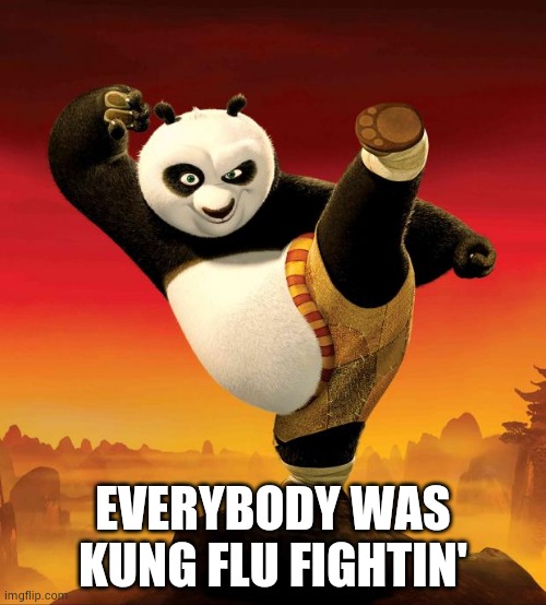 kung fu panda | EVERYBODY WAS KUNG FLU FIGHTIN' | image tagged in kung fu panda | made w/ Imgflip meme maker