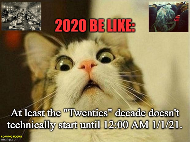 Scared Cat | 2020 BE LIKE:; At least the "Twenties" decade doesn't technically start until 12:00 AM 1/1/21. ROARING JIGGIES | image tagged in memes,scared cat,coronavirus,covid-19,social distancing,2020 | made w/ Imgflip meme maker