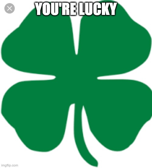 4 leaf Clover | YOU'RE LUCKY | image tagged in 4 leaf clover | made w/ Imgflip meme maker