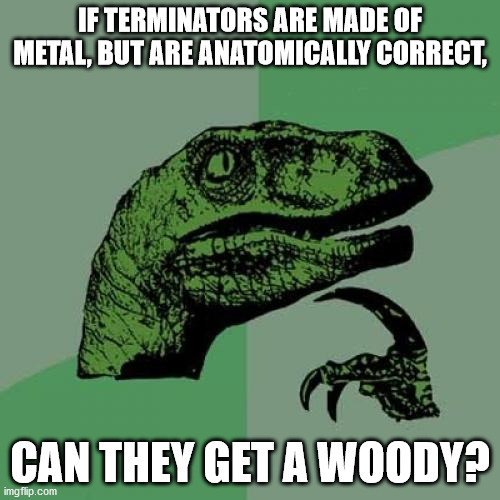 Philosoraptor | IF TERMINATORS ARE MADE OF METAL, BUT ARE ANATOMICALLY CORRECT, CAN THEY GET A WOODY? | image tagged in memes,philosoraptor | made w/ Imgflip meme maker