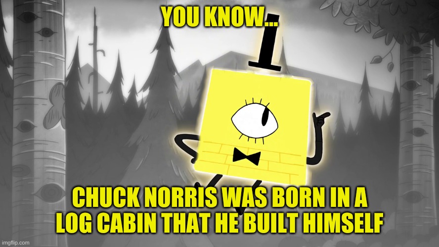 YOU KNOW... CHUCK NORRIS WAS BORN IN A LOG CABIN THAT HE BUILT HIMSELF | made w/ Imgflip meme maker