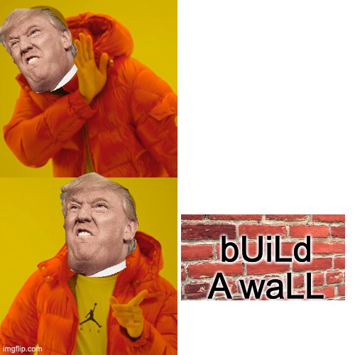 Drake Hotline Bling | bUiLd A waLL | image tagged in memes,drake hotline bling | made w/ Imgflip meme maker
