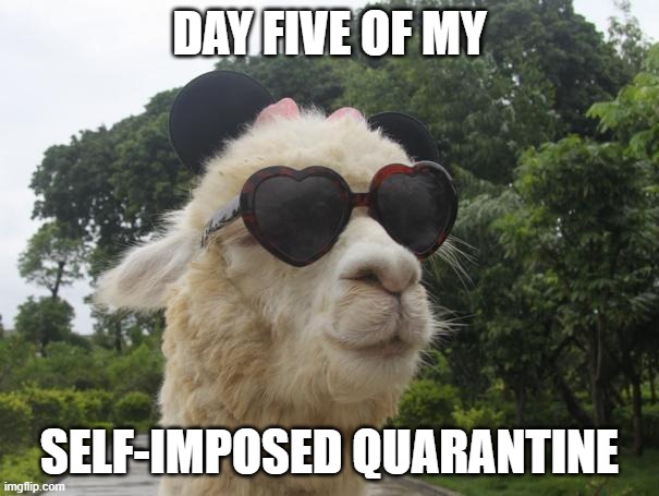 etc. cool llama DAY FIVE OF MY; SELF-IMPOSED QUARANTINE image tagged in coo...