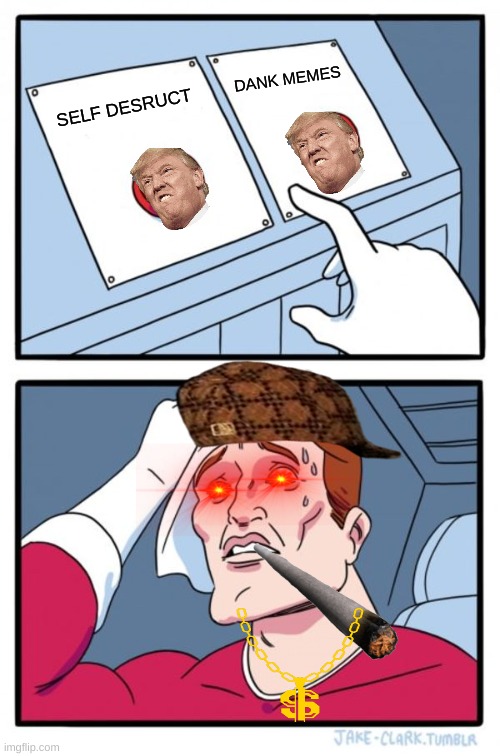 Two Buttons Meme | DANK MEMES; SELF DESRUCT | image tagged in memes,two buttons | made w/ Imgflip meme maker