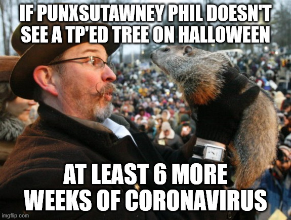 Legit accurate | IF PUNXSUTAWNEY PHIL DOESN'T SEE A TP'ED TREE ON HALLOWEEN; AT LEAST 6 MORE WEEKS OF CORONAVIRUS | image tagged in punxsutawney phil | made w/ Imgflip meme maker