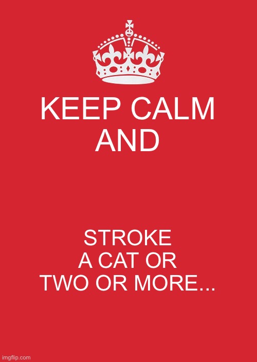 Keep Calm And Carry On Red Meme | KEEP CALM
AND; STROKE A CAT OR TWO OR MORE... | image tagged in memes,keep calm and carry on red | made w/ Imgflip meme maker