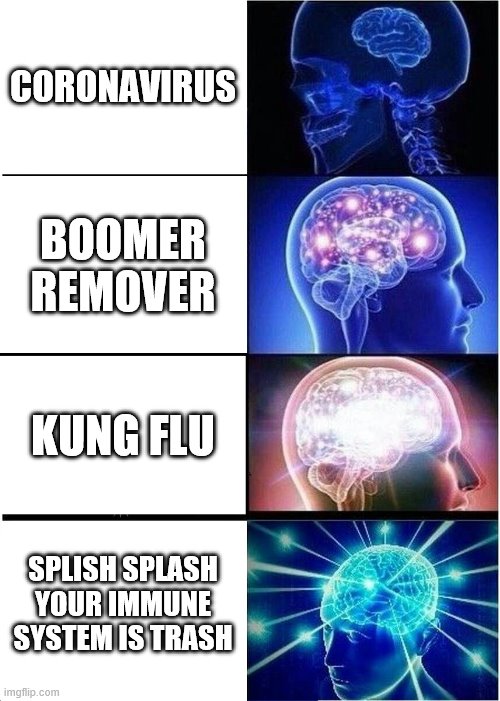 Expanding Brain | CORONAVIRUS; BOOMER REMOVER; KUNG FLU; SPLISH SPLASH YOUR IMMUNE SYSTEM IS TRASH | image tagged in memes,expanding brain | made w/ Imgflip meme maker