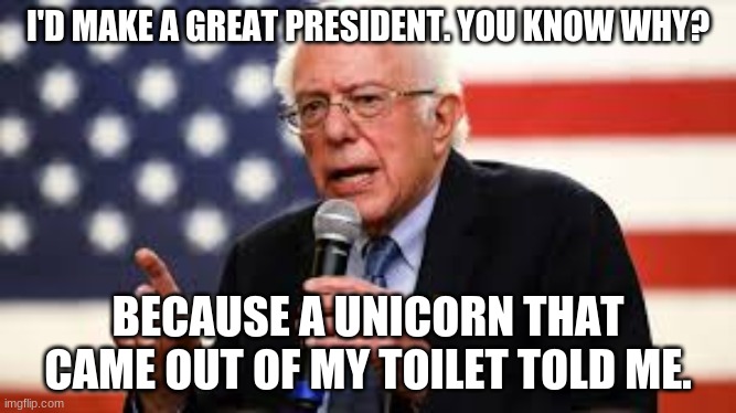 I'D MAKE A GREAT PRESIDENT. YOU KNOW WHY? BECAUSE A UNICORN THAT CAME OUT OF MY TOILET TOLD ME. | image tagged in meme | made w/ Imgflip meme maker