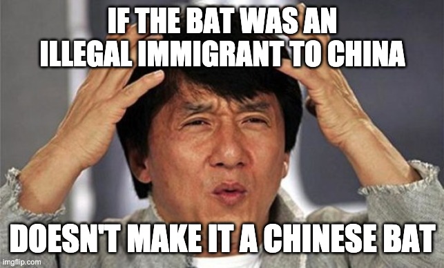 That moment when you realize Melania trump is an illegal immigra | IF THE BAT WAS AN ILLEGAL IMMIGRANT TO CHINA DOESN'T MAKE IT A CHINESE BAT | image tagged in that moment when you realize melania trump is an illegal immigra | made w/ Imgflip meme maker