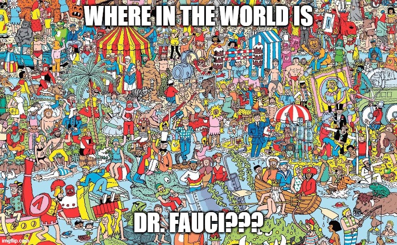 Where is waldo? | WHERE IN THE WORLD IS; DR. FAUCI??? | image tagged in where is waldo | made w/ Imgflip meme maker