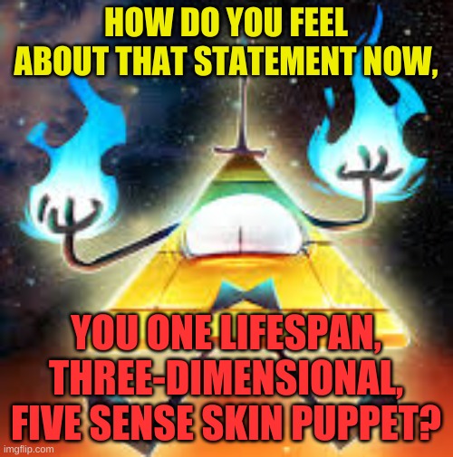 HOW DO YOU FEEL ABOUT THAT STATEMENT NOW, YOU ONE LIFESPAN, THREE-DIMENSIONAL, FIVE SENSE SKIN PUPPET? | made w/ Imgflip meme maker
