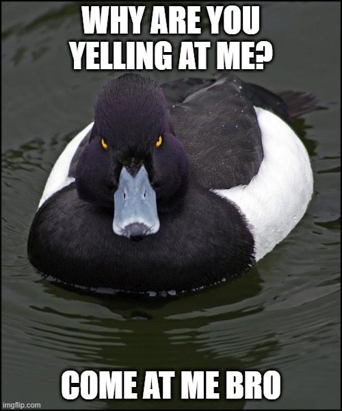 Angry duck | WHY ARE YOU YELLING AT ME? COME AT ME BRO | image tagged in angry duck | made w/ Imgflip meme maker