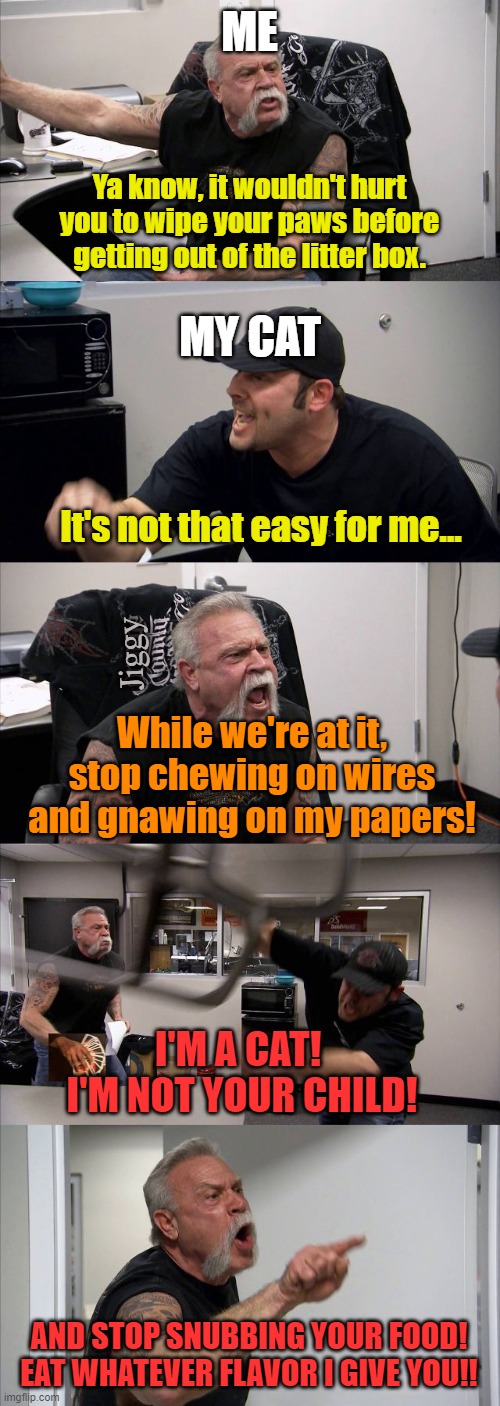 American Chopper Argument | ME; Ya know, it wouldn't hurt you to wipe your paws before getting out of the litter box. MY CAT; It's not that easy for me... Jiggy; While we're at it, stop chewing on wires and gnawing on my papers! I'M A CAT!  I'M NOT YOUR CHILD! AND STOP SNUBBING YOUR FOOD!
EAT WHATEVER FLAVOR I GIVE YOU!! | image tagged in memes,american chopper argument,cats,kitty,pets,coronavirus | made w/ Imgflip meme maker