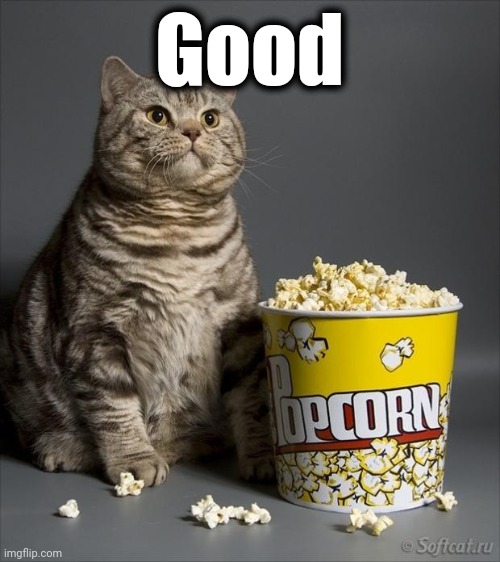Cat eating popcorn | Good | image tagged in cat eating popcorn | made w/ Imgflip meme maker