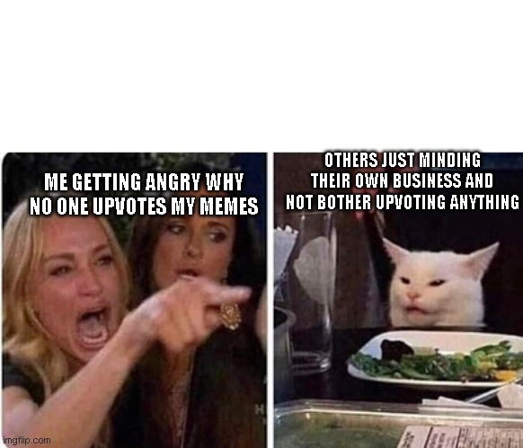 Lady screams at cat | ME GETTING ANGRY WHY NO ONE UPVOTES MY MEMES; OTHERS JUST MINDING THEIR OWN BUSINESS AND NOT BOTHER UPVOTING ANYTHING | image tagged in lady screams at cat | made w/ Imgflip meme maker