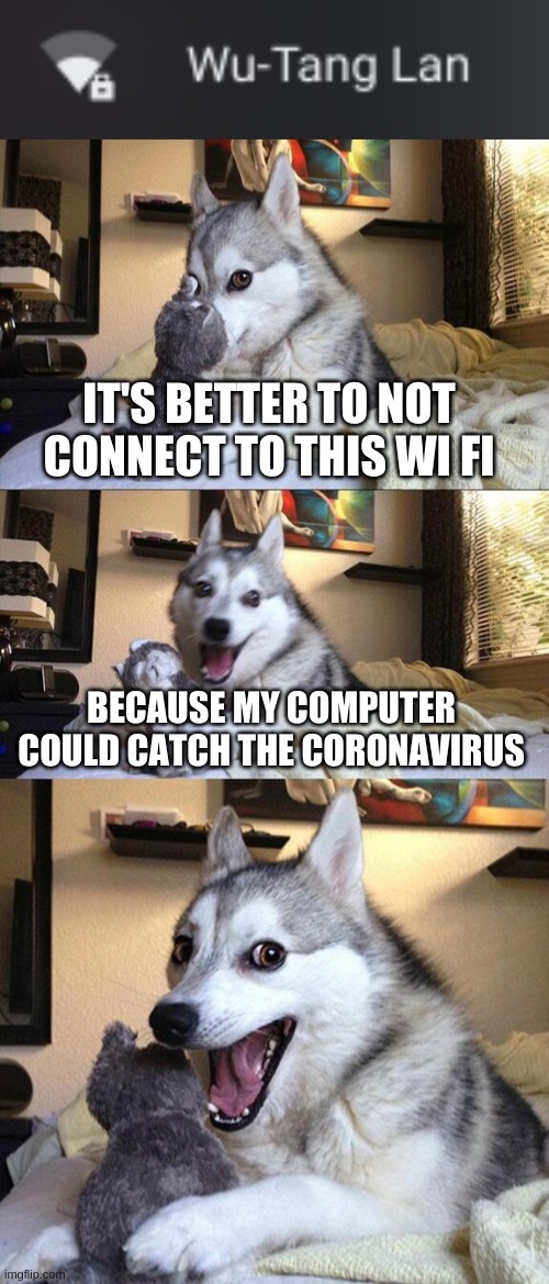 IT'S BETTER TO NOT CONNECT TO THIS WI FI; BECAUSE MY COMPUTER COULD CATCH THE CORONAVIRUS | image tagged in memes,bad pun dog | made w/ Imgflip meme maker