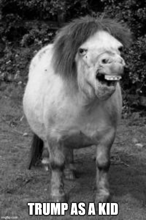 ugly horse | TRUMP AS A KID | image tagged in ugly horse | made w/ Imgflip meme maker