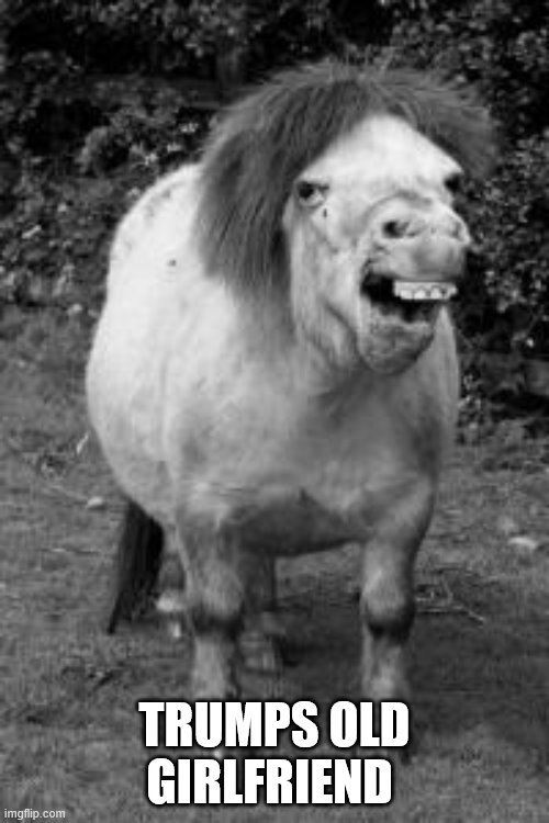 ugly horse | TRUMPS OLD GIRLFRIEND | image tagged in ugly horse | made w/ Imgflip meme maker