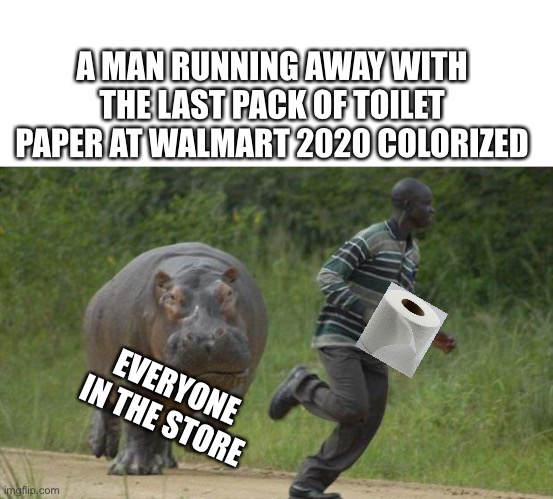 Panic at the Costco top 20 hits! | A MAN RUNNING AWAY WITH THE LAST PACK OF TOILET PAPER AT WALMART 2020 COLORIZED; EVERYONE IN THE STORE | image tagged in hippo chase,covid19,toilet paper,hippopotamus,running away balloon,the most interesting man in the world | made w/ Imgflip meme maker