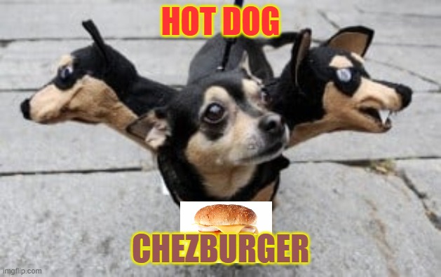 hd or cb | HOT DOG; CHEZBURGER | image tagged in 3 dog | made w/ Imgflip meme maker