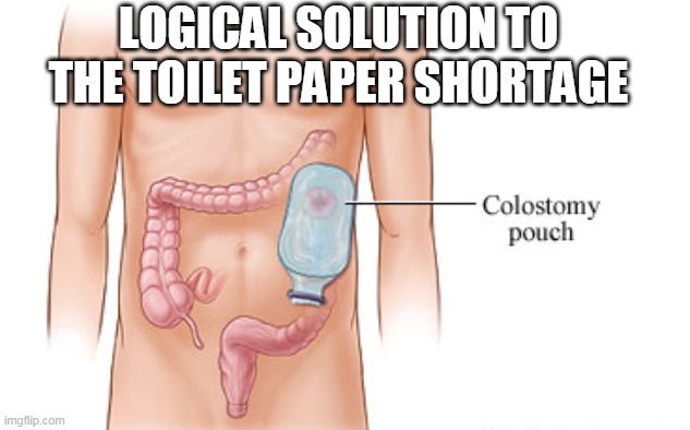 LOGICAL SOLUTION TO THE TOILET PAPER SHORTAGE | image tagged in coronavirus | made w/ Imgflip meme maker