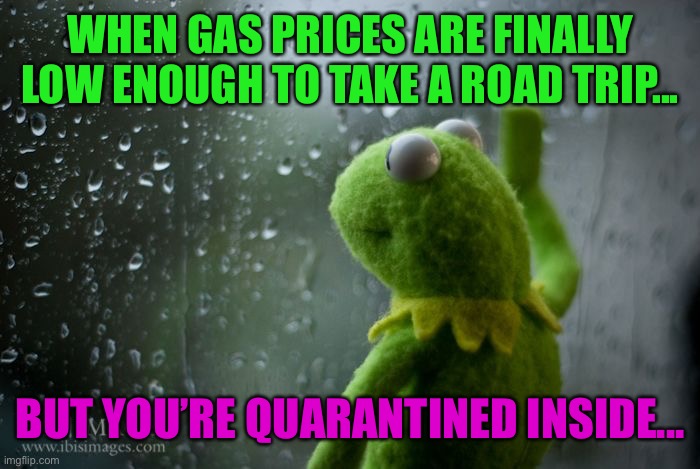 The struggle is real.. | WHEN GAS PRICES ARE FINALLY LOW ENOUGH TO TAKE A ROAD TRIP... BUT YOU’RE QUARANTINED INSIDE... | image tagged in kermit window,lynch1979,funny,lol,coronavirus | made w/ Imgflip meme maker