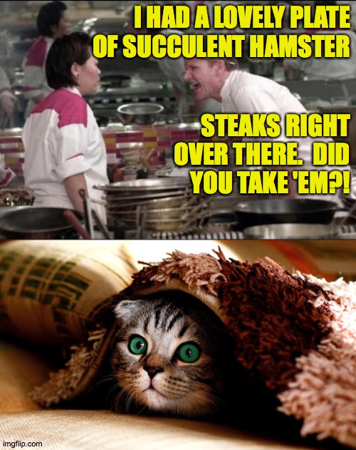 It takes years of training and experience to get 'em just right. | I HAD A LOVELY PLATE
OF SUCCULENT HAMSTER; STEAKS RIGHT OVER THERE.  DID
YOU TAKE 'EM?! | image tagged in memes,angry chef gordon ramsay,hamster done right | made w/ Imgflip meme maker