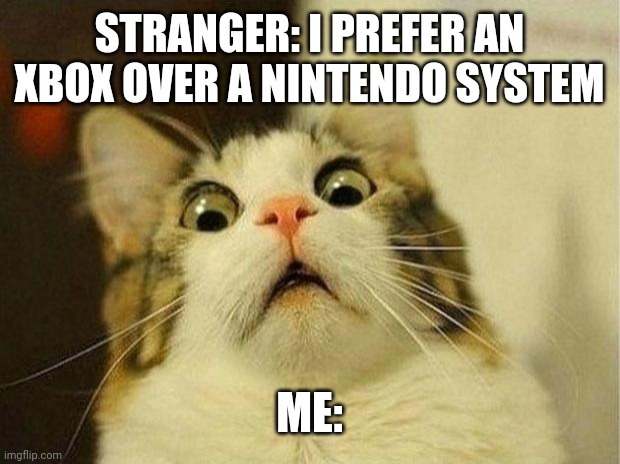 Scared Cat Meme | STRANGER: I PREFER AN XBOX OVER A NINTENDO SYSTEM; ME: | image tagged in memes,scared cat | made w/ Imgflip meme maker