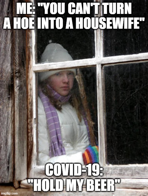Covid-19 | ME: "YOU CAN'T TURN A HOE INTO A HOUSEWIFE"; COVID-19: "HOLD MY BEER" | image tagged in coronavirus,corona virus,covid-19 | made w/ Imgflip meme maker