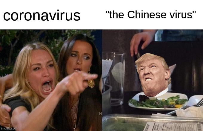 trumps words not mine | coronavirus; "the Chinese virus" | image tagged in memes,woman yelling at cat | made w/ Imgflip meme maker