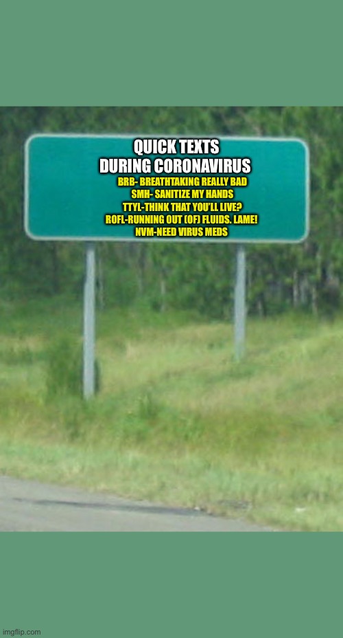 Green Road sign blank | QUICK TEXTS DURING CORONAVIRUS; BRB- BREATHTAKING REALLY BAD
SMH- SANITIZE MY HANDS
TTYL-THINK THAT YOU’LL LIVE?
ROFL-RUNNING OUT (OF) FLUIDS. LAME! 
NVM-NEED VIRUS MEDS | image tagged in green road sign blank | made w/ Imgflip meme maker