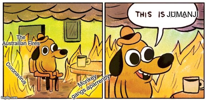This Is Fine Meme | JUMANJI; The Austrailian Fires; Coronavirus; Monkey gangs aparrently | image tagged in memes,this is fine | made w/ Imgflip meme maker