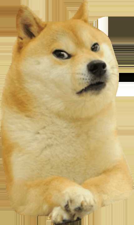 High Quality Angry doge Blank Meme Template